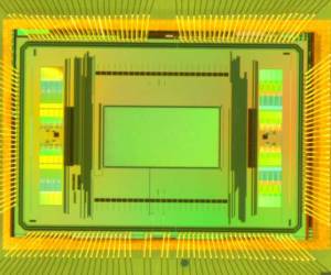 Mikroelektrodenchips der ETH untersuchen tausende Nervenzellen gleichzeitig