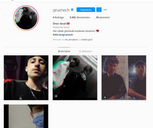 Unbekannte hacken Instagram-Konto der Grünen