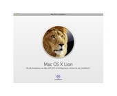 lion-installation.jpg